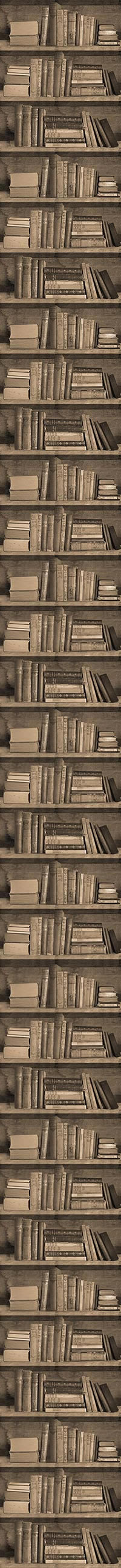 bookshelf3